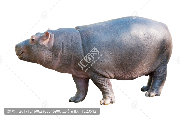 隔離的