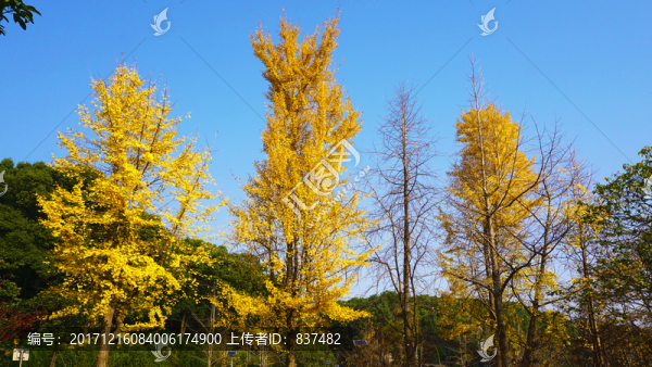 湖南烈士公園