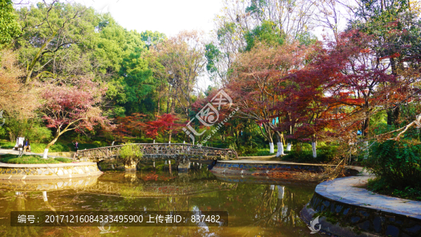 冬日多彩風(fēng)景