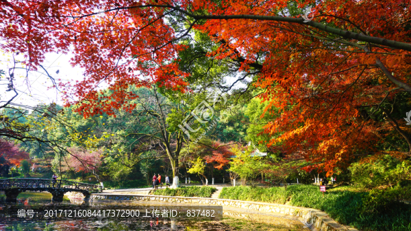 冬日多彩風景