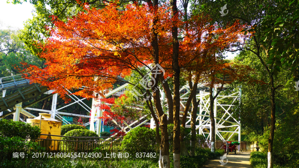 烈士公園景區(qū)