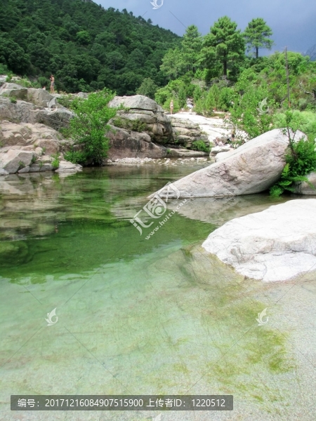 夏