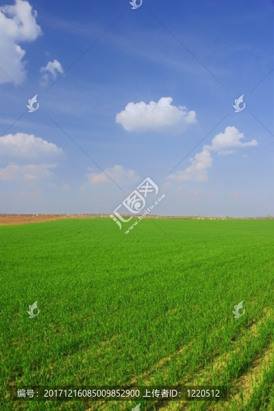 農(nóng)業(yè)
