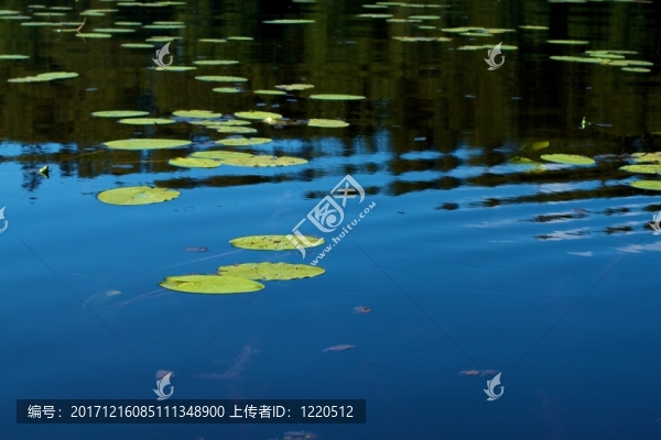 生活