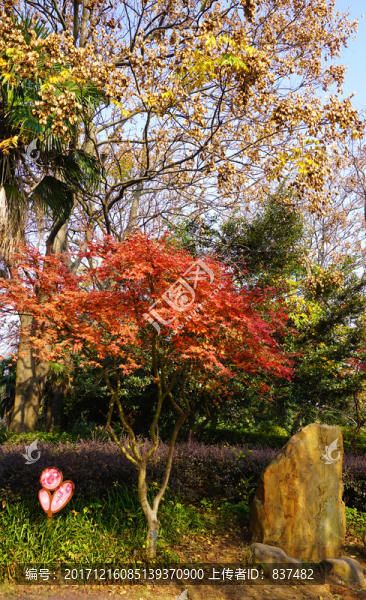 烈士公園風(fēng)景