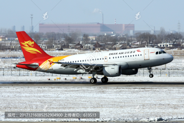 大雪,飛機,降落,金鹿航空