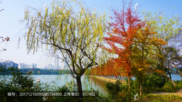 烈士公園多彩冬日