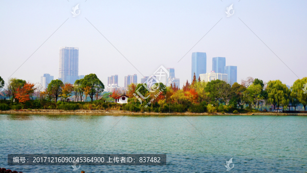 烈士公園冬日