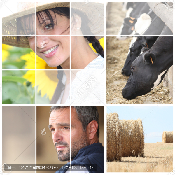 動物群