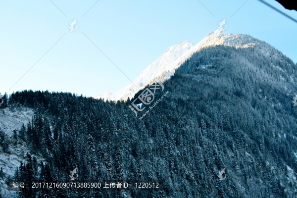 山