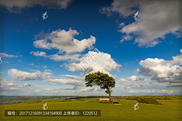 英格蘭