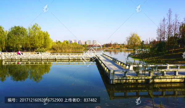 洋湖濕地公園景區(qū)