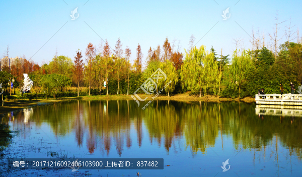 洋湖濕地公園