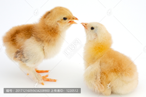 飯店