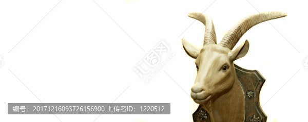 巖羚羊-匯圖網(wǎng) www.fosd68.com 巖羚羊