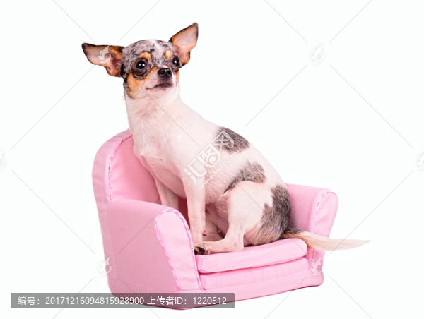 扶手椅