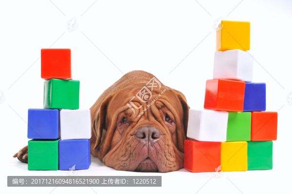 塔