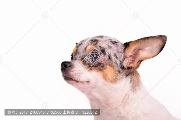 友情
