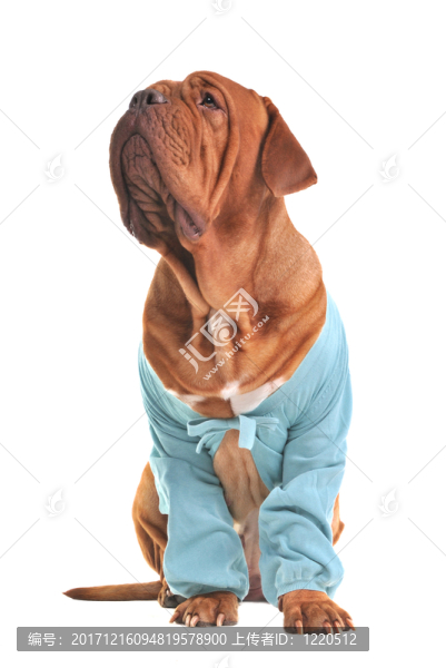友情