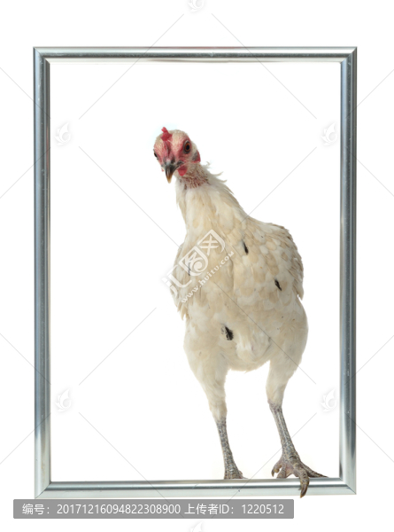 走