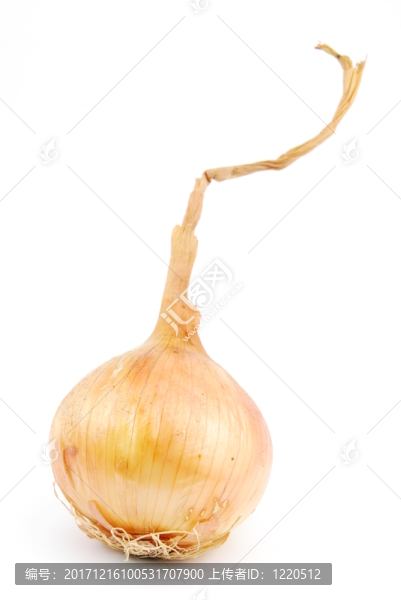 食物