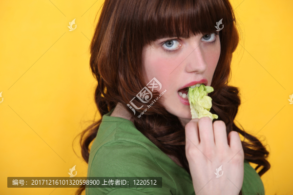 模型