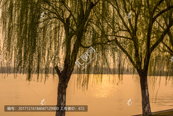 玄武湖黃昏美景