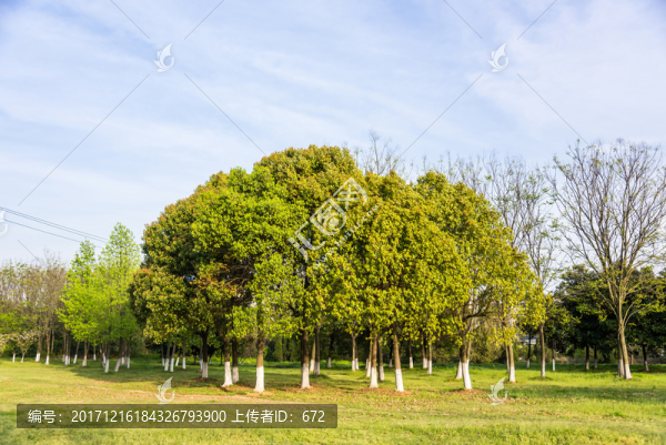 鐘山體育運動公園美景