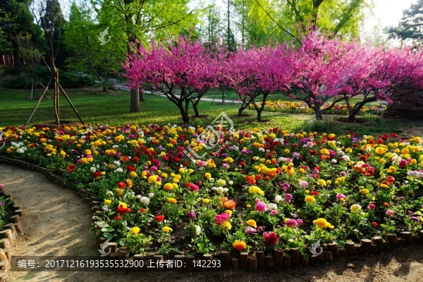 萬紫千紅