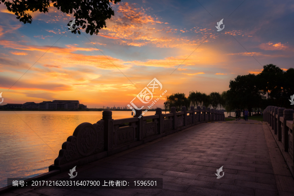夕陽,湖泊,橋面