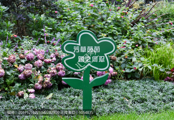 綠化帶,公園,告示牌