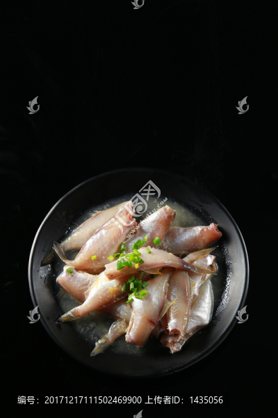 小橡皮魚(yú)