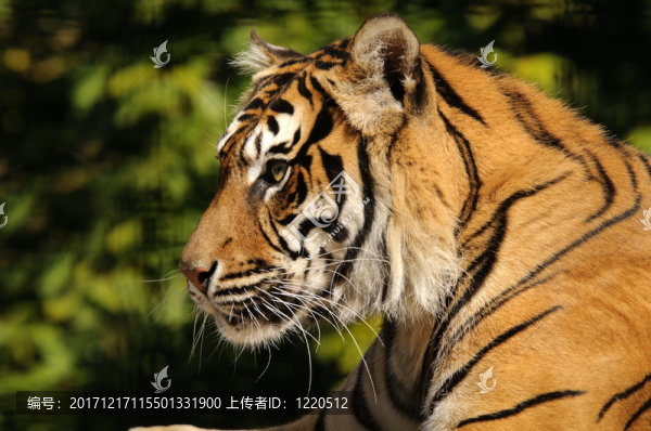 危險