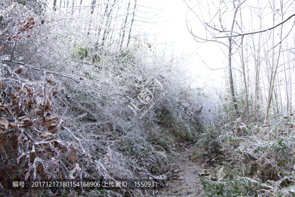 冰雪世界