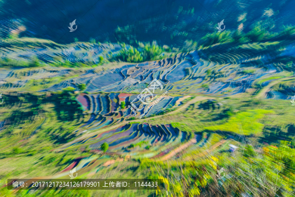 紅河梯田
