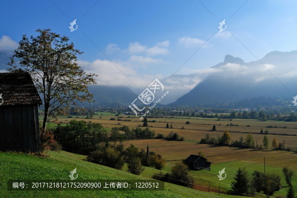 堿處理的脂多糖