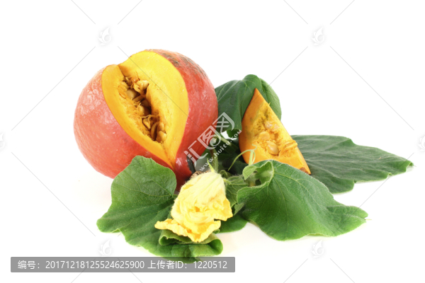 hokkaidok羹打點(diǎn)