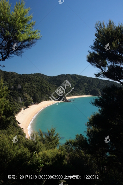 來自阿貝爾塔斯曼路線的海岸線,-,新西蘭