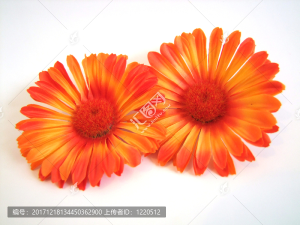 dekoblumen