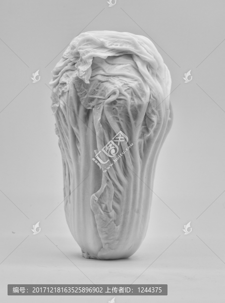 白菜