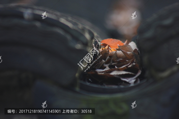 秋天的樣子