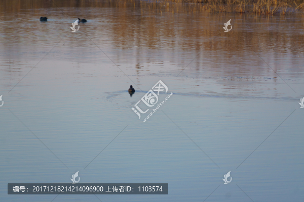 濟南龍湖濕地朝霞,（27）