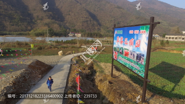航拍大棚草莓園