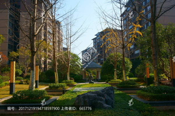 小區(qū)一角