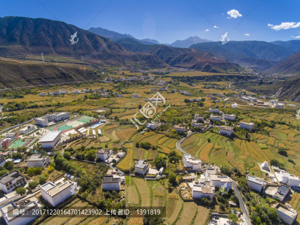 航拍鄉(xiāng)城縣青麥田園風(fēng)光