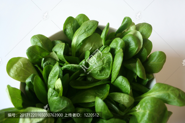 鮮食玉米沙拉