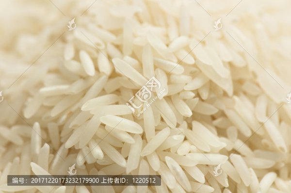 食物