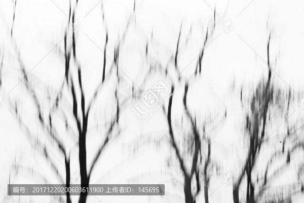 樹干線條