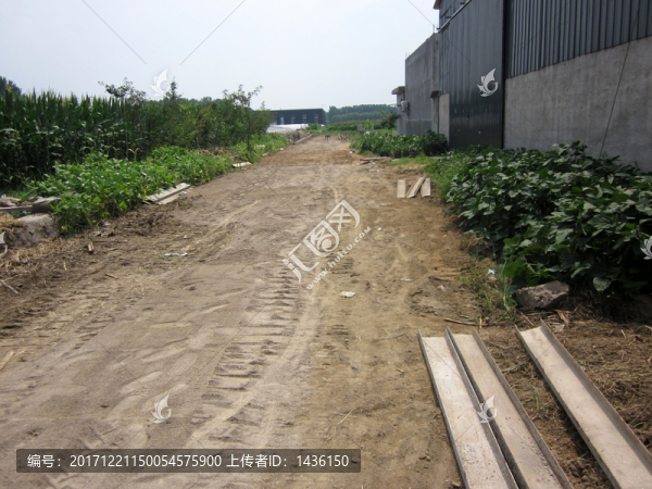 田間道路