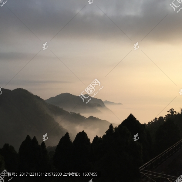 阿里山